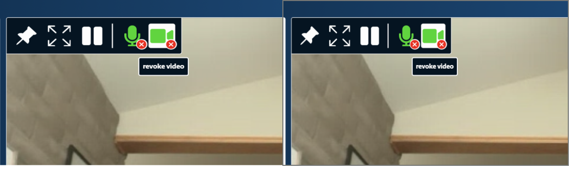 Meetecho Media Controls